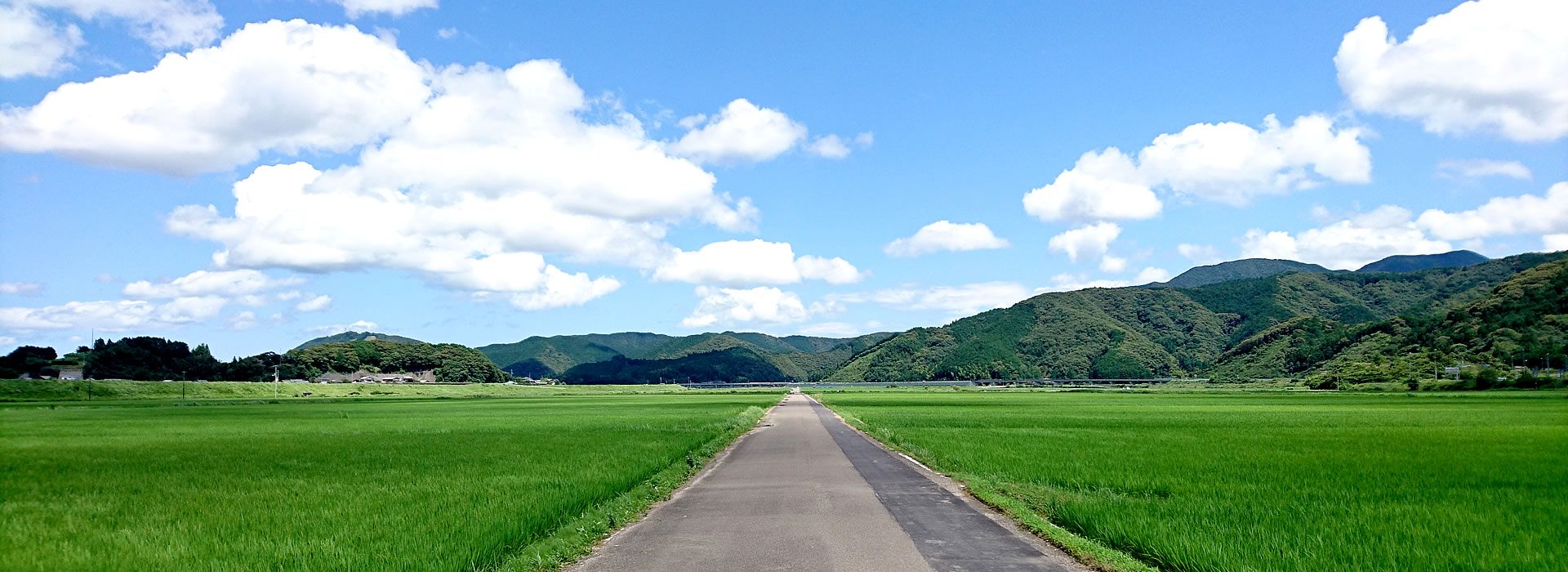 top-img-02-2 DSC_2264